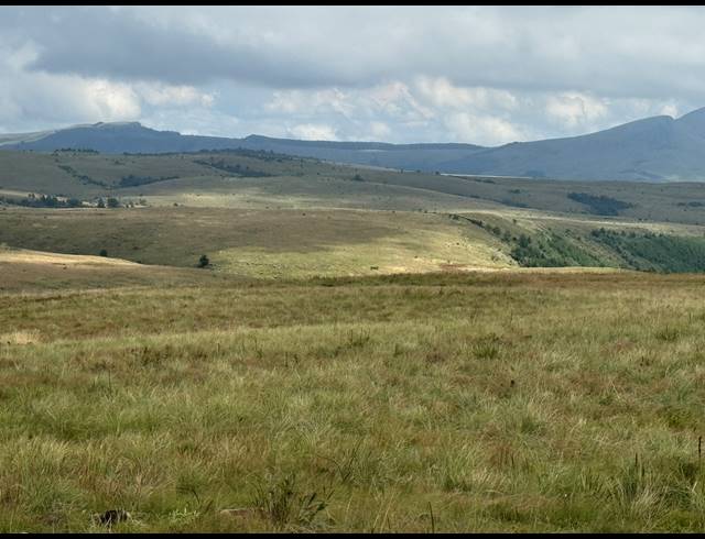 1,730HA FARM FOR SALE IN DARGLE